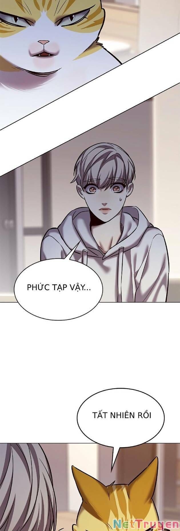 Hoá Thân Thành Mèo - Chapter 239 - Page 42