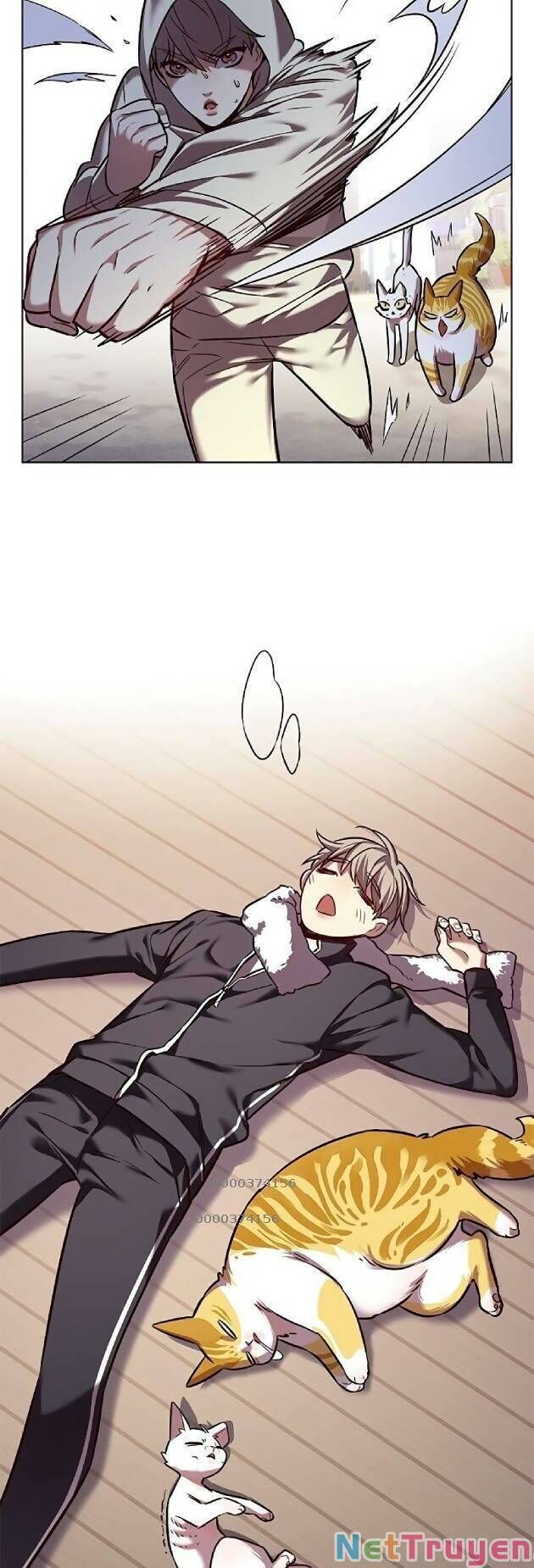 Hoá Thân Thành Mèo - Chapter 239 - Page 48