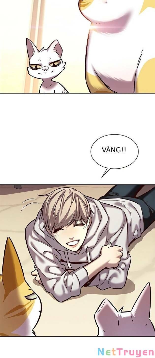 Hoá Thân Thành Mèo - Chapter 239 - Page 6