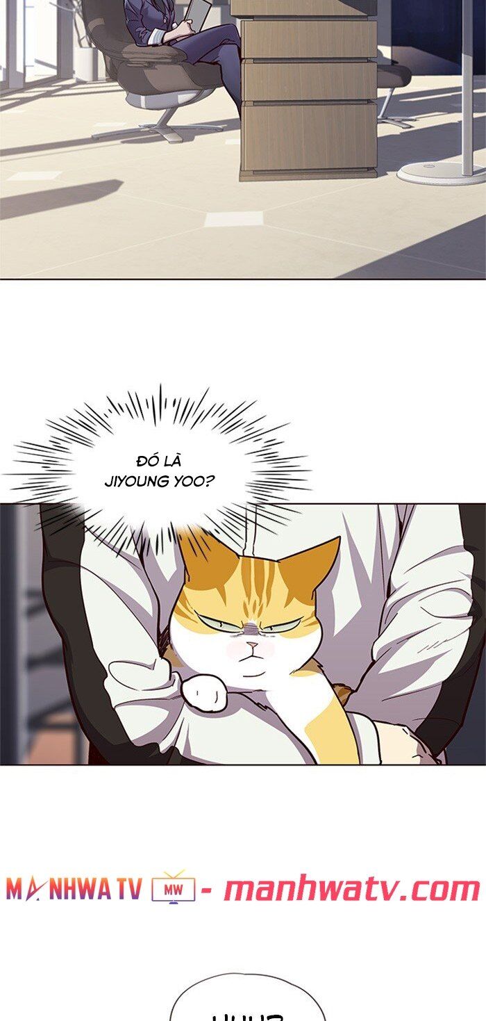 Hoá Thân Thành Mèo - Chapter 24 - Page 13