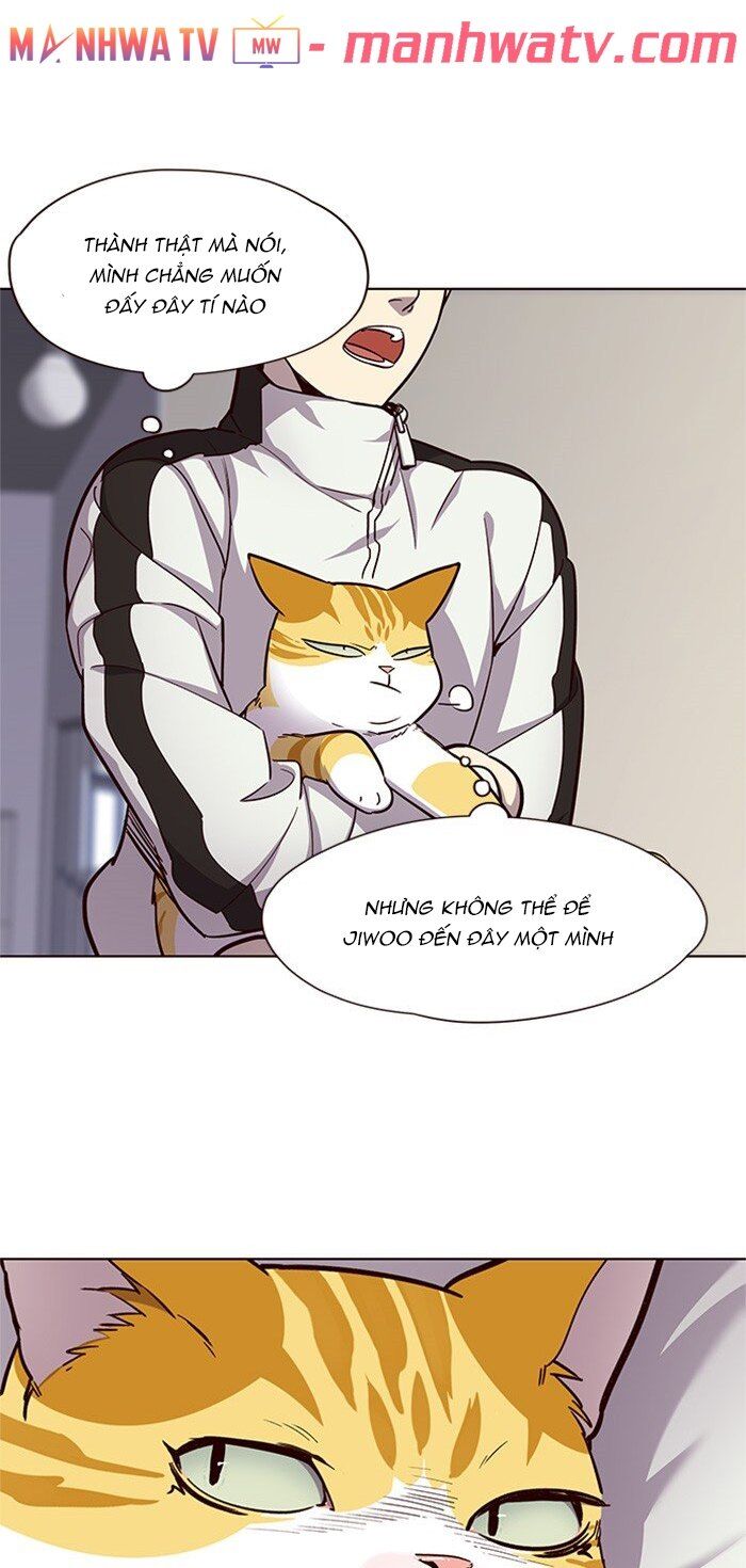 Hoá Thân Thành Mèo - Chapter 24 - Page 6