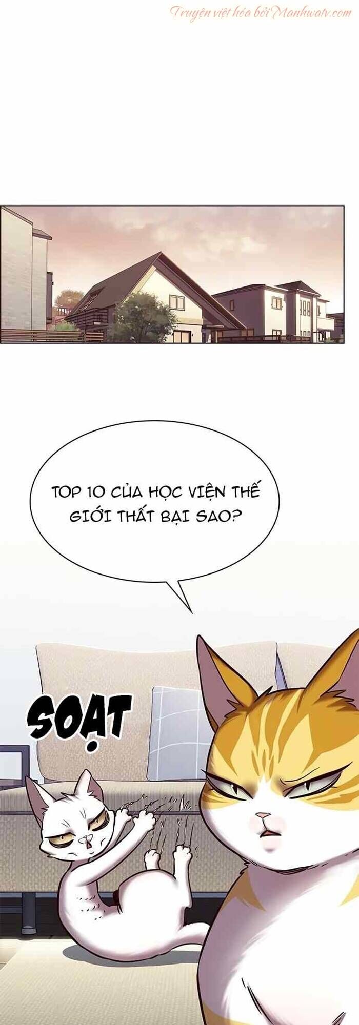 Hoá Thân Thành Mèo - Chapter 240 - Page 34