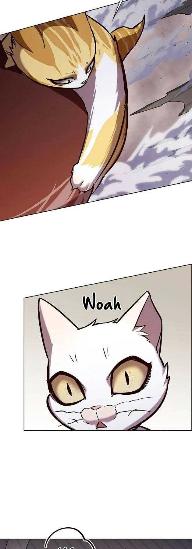 Hoá Thân Thành Mèo - Chapter 241 - Page 23