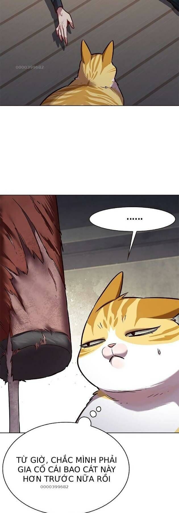 Hoá Thân Thành Mèo - Chapter 241 - Page 26