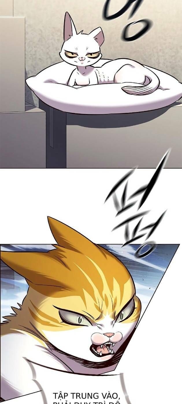 Hoá Thân Thành Mèo - Chapter 241 - Page 8