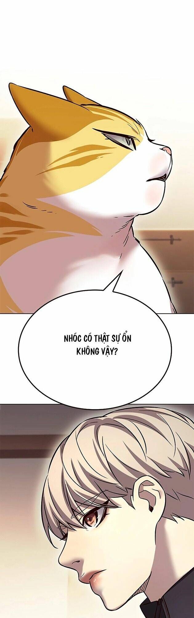 Hoá Thân Thành Mèo - Chapter 242 - Page 43