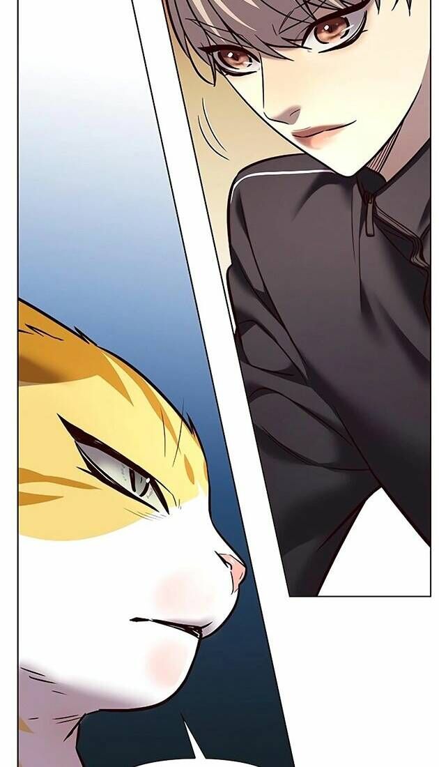 Hoá Thân Thành Mèo - Chapter 242 - Page 45