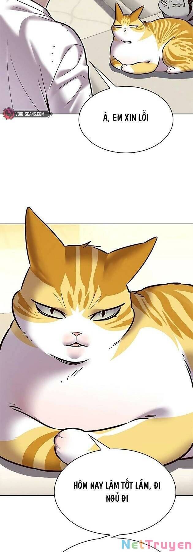 Hoá Thân Thành Mèo - Chapter 243 - Page 59