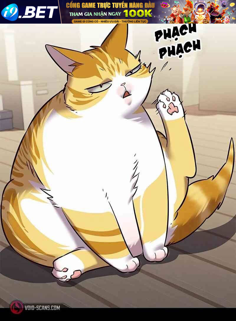 Hoá Thân Thành Mèo - Chapter 244 - Page 13