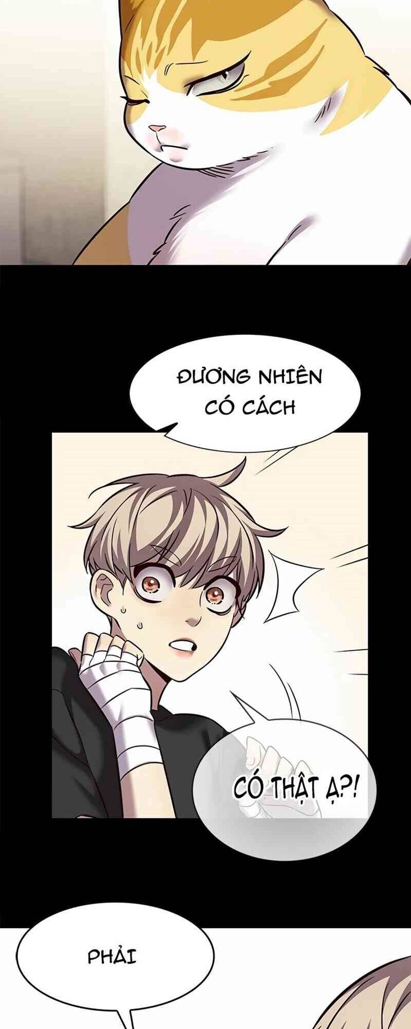 Hoá Thân Thành Mèo - Chapter 244 - Page 16