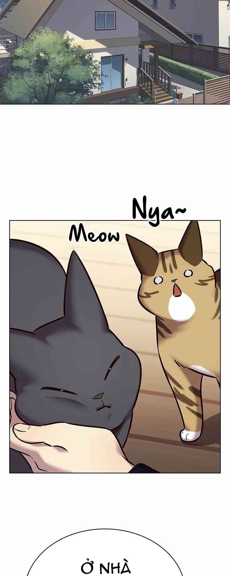 Hoá Thân Thành Mèo - Chapter 244 - Page 40