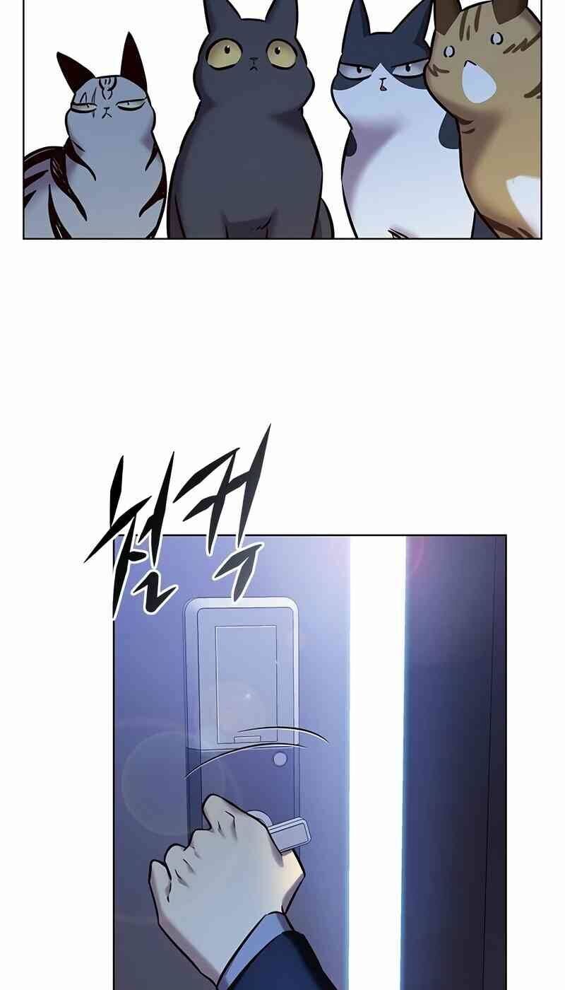 Hoá Thân Thành Mèo - Chapter 244 - Page 42