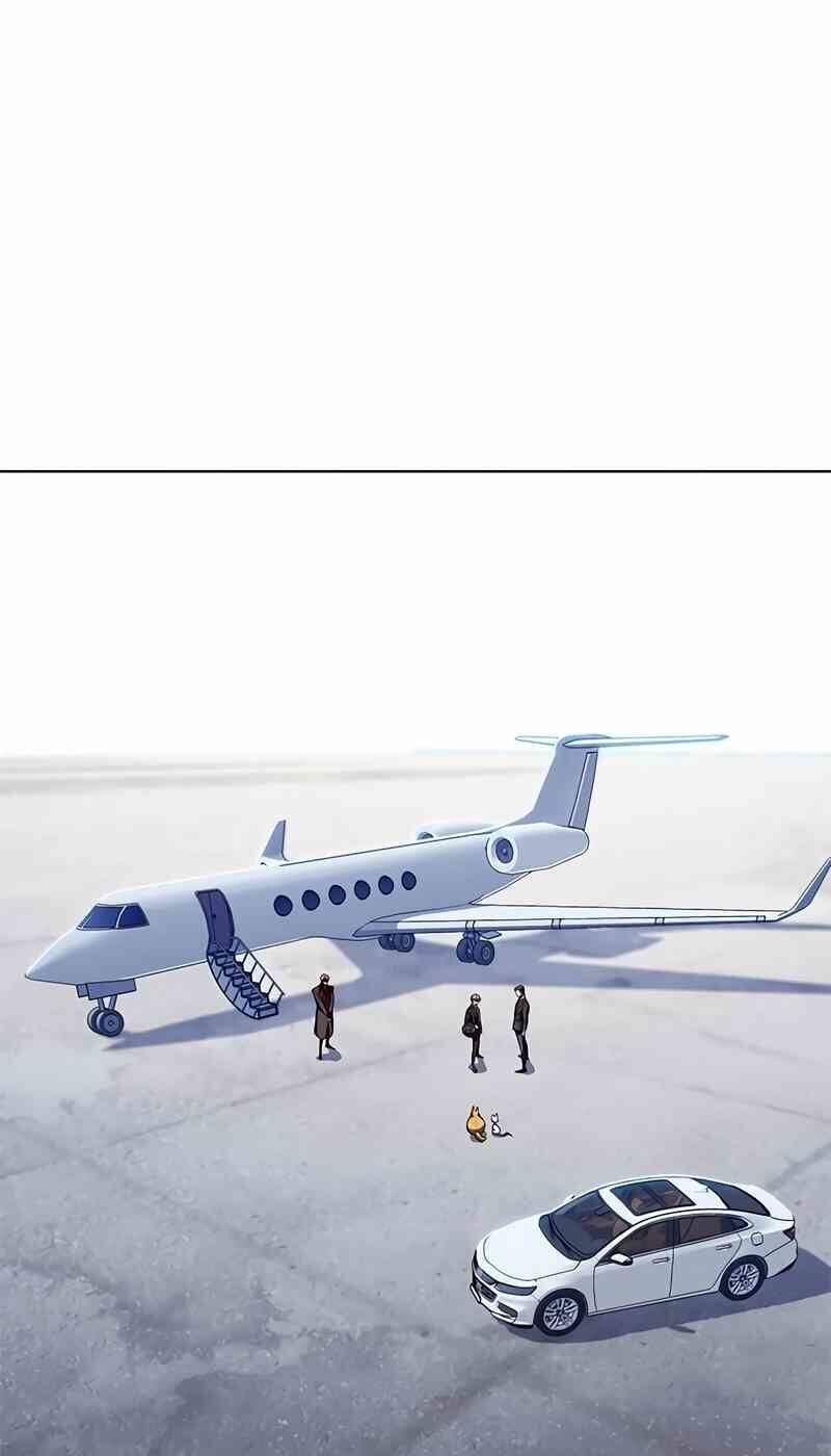 Hoá Thân Thành Mèo - Chapter 244 - Page 57