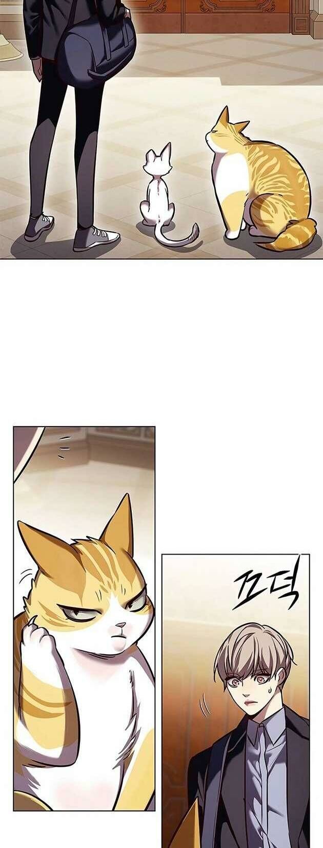 Hoá Thân Thành Mèo - Chapter 245 - Page 30