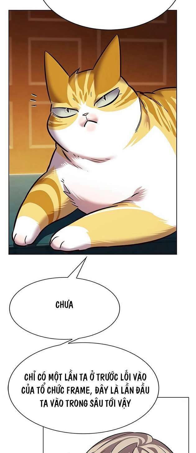 Hoá Thân Thành Mèo - Chapter 245 - Page 41