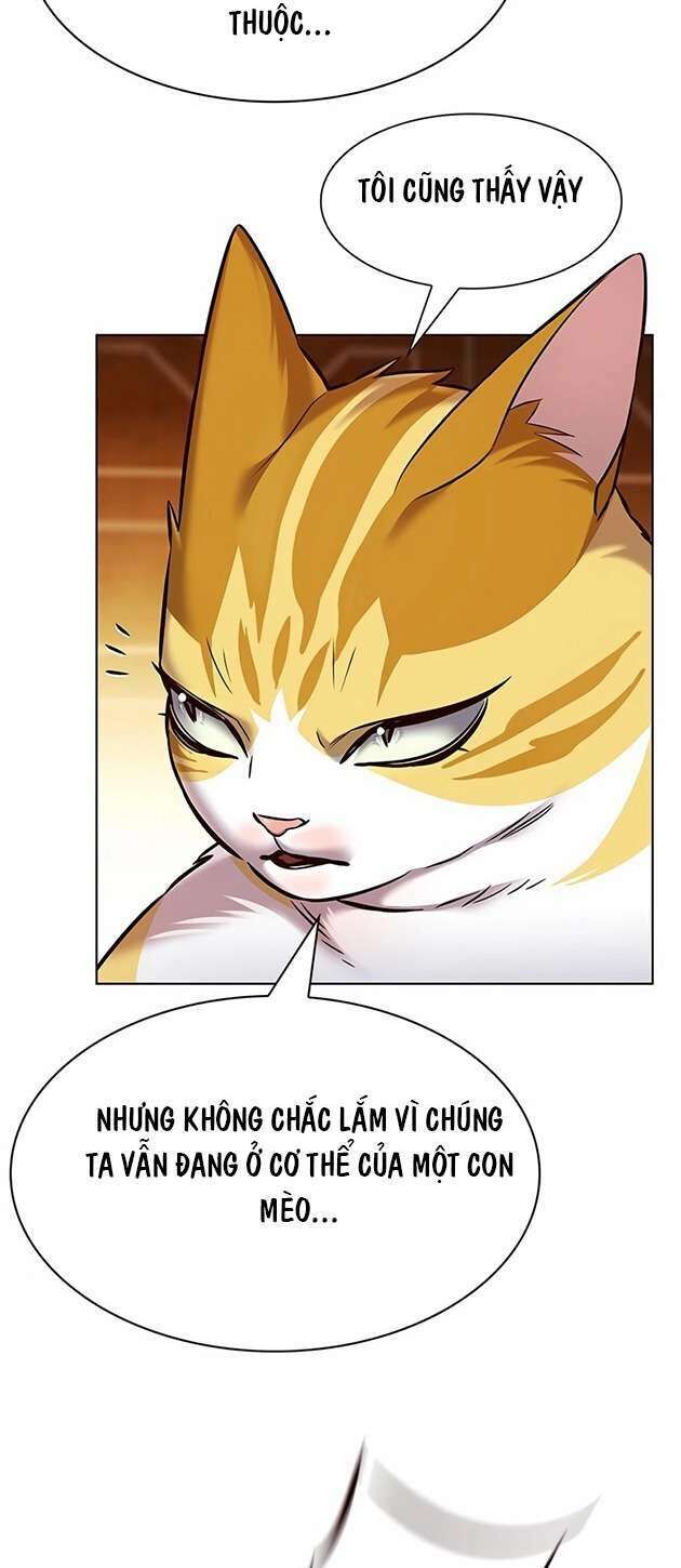 Hoá Thân Thành Mèo - Chapter 245 - Page 45