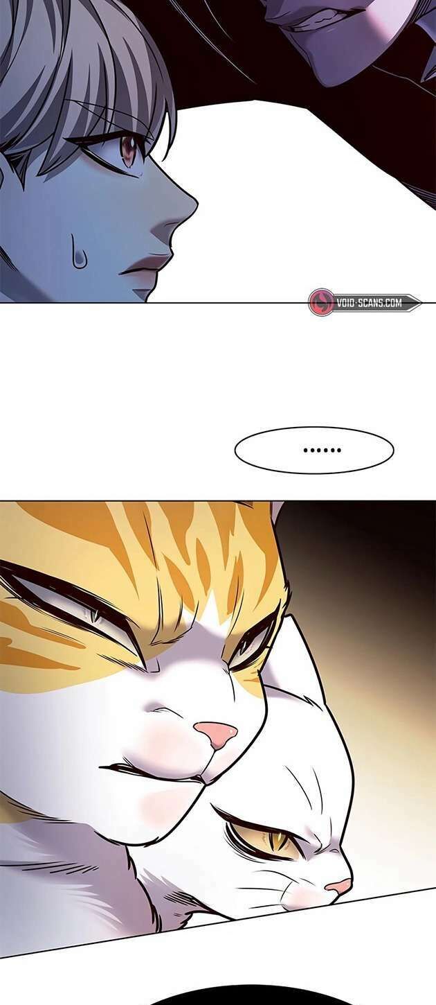 Hoá Thân Thành Mèo - Chapter 245 - Page 53