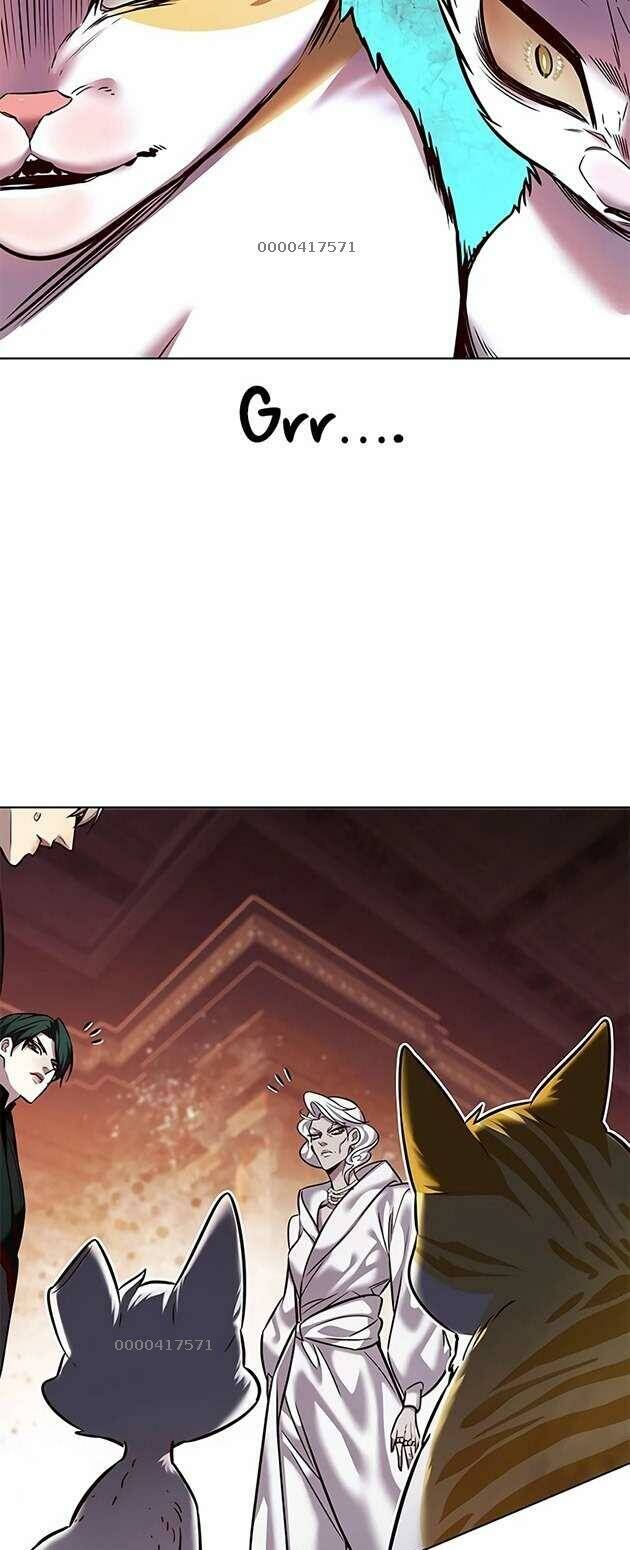Hoá Thân Thành Mèo - Chapter 246 - Page 16