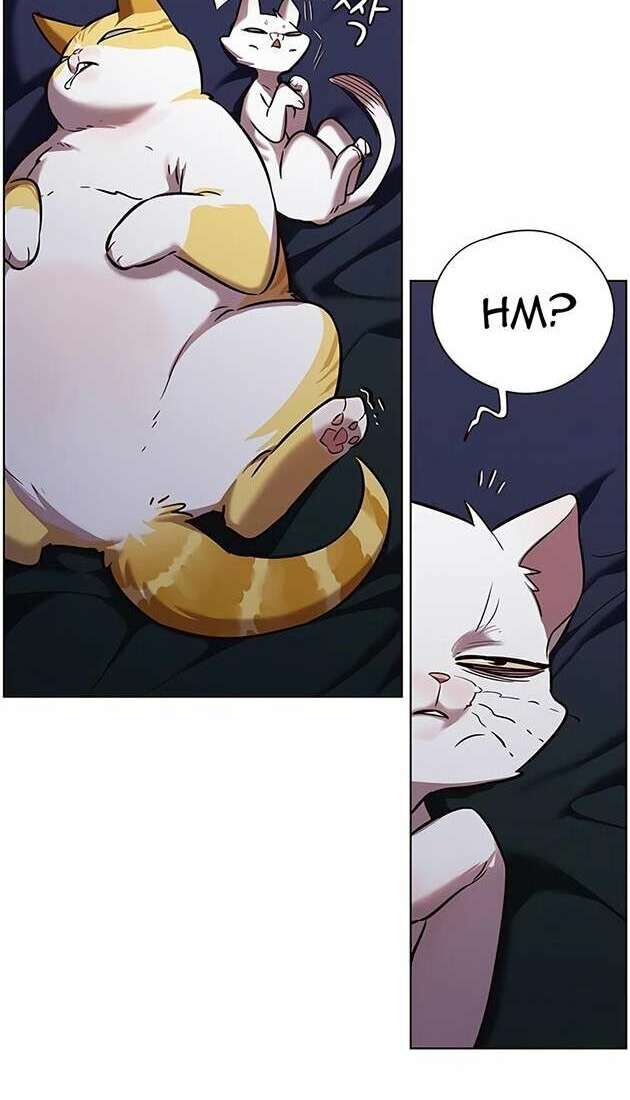 Hoá Thân Thành Mèo - Chapter 246 - Page 58