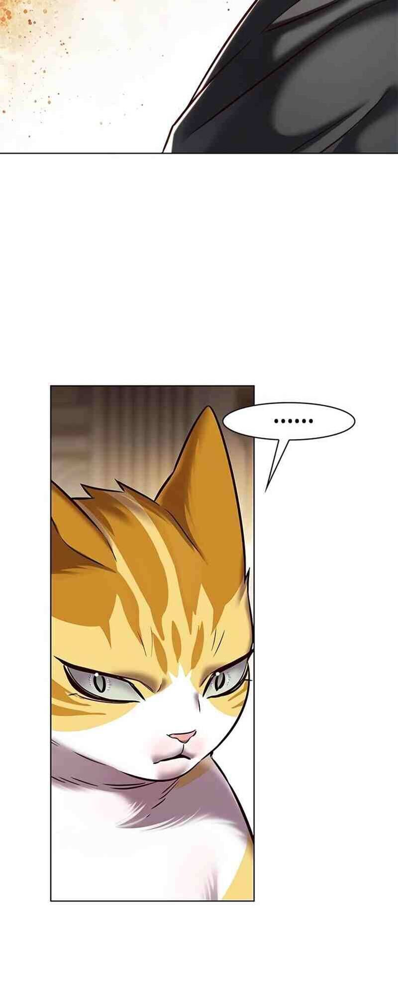 Hoá Thân Thành Mèo - Chapter 250 - Page 27