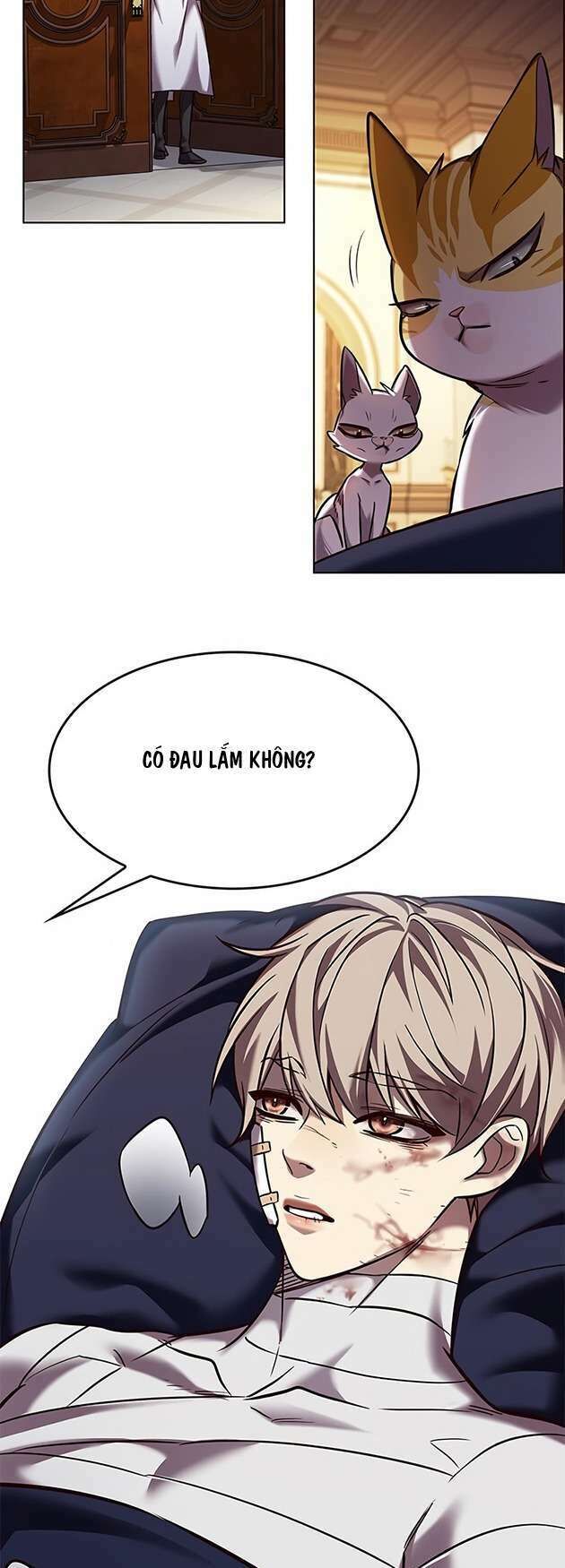 Hoá Thân Thành Mèo - Chapter 253 - Page 53