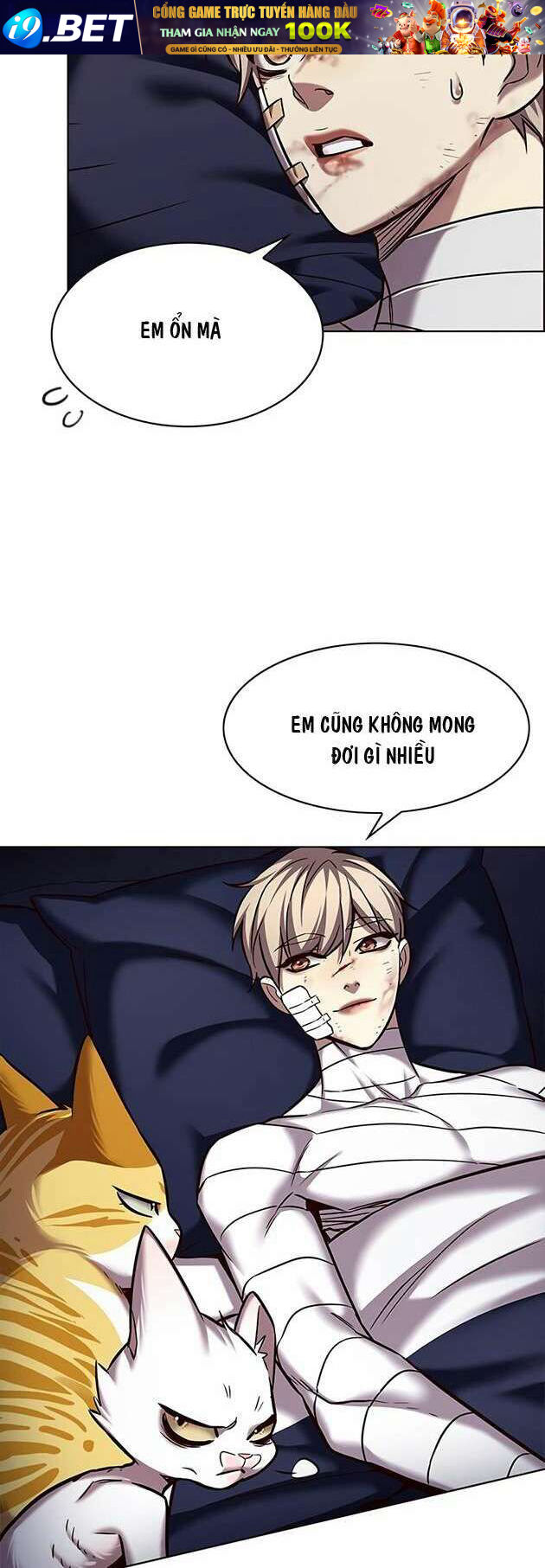 Hoá Thân Thành Mèo - Chapter 253 - Page 56