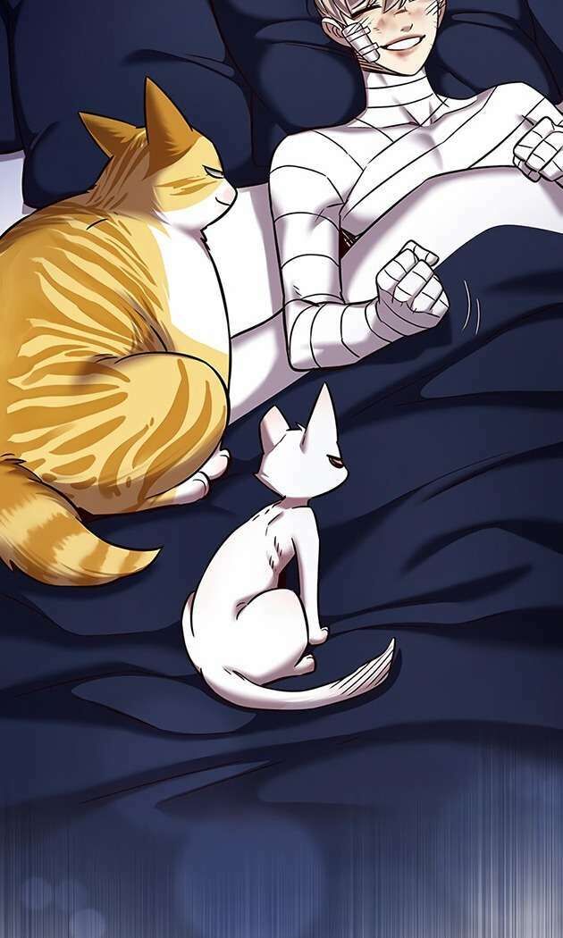 Hoá Thân Thành Mèo - Chapter 253 - Page 70