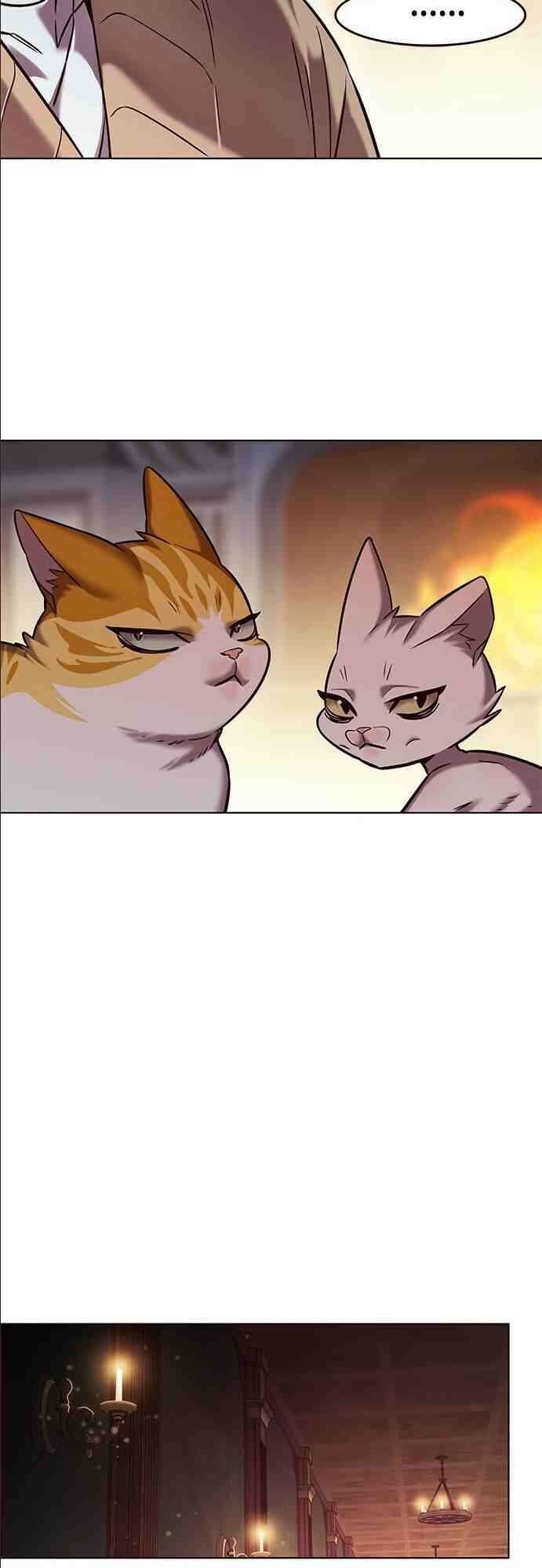 Hoá Thân Thành Mèo - Chapter 255 - Page 51