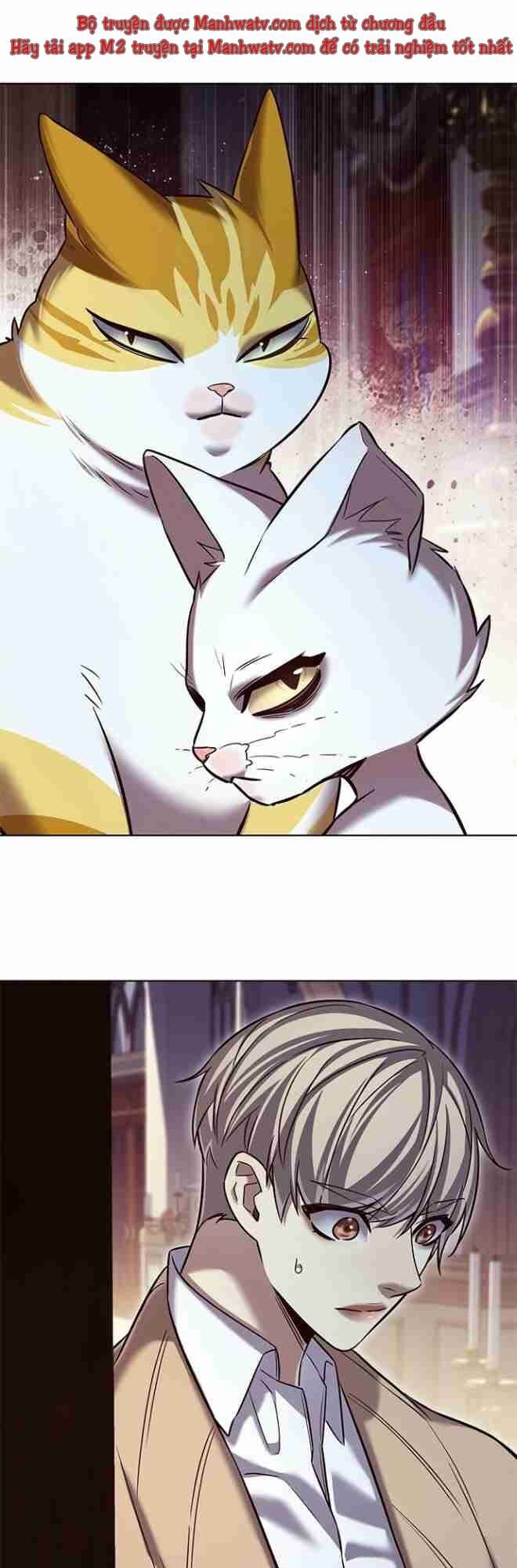 Hoá Thân Thành Mèo - Chapter 256 - Page 30