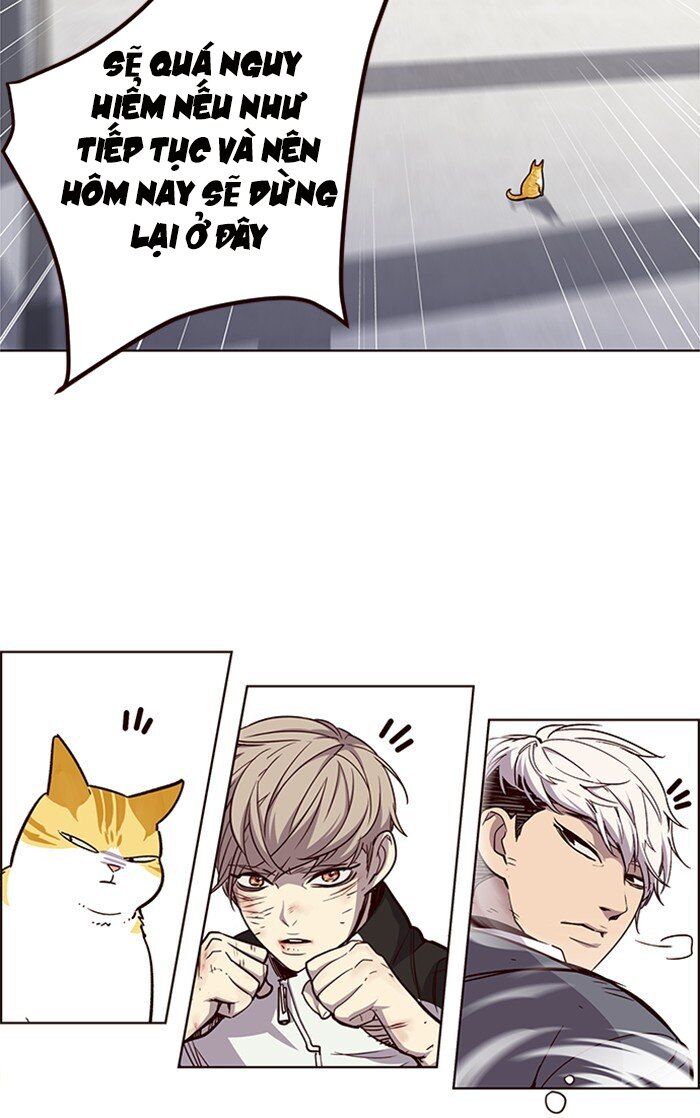 Hoá Thân Thành Mèo - Chapter 26 - Page 18