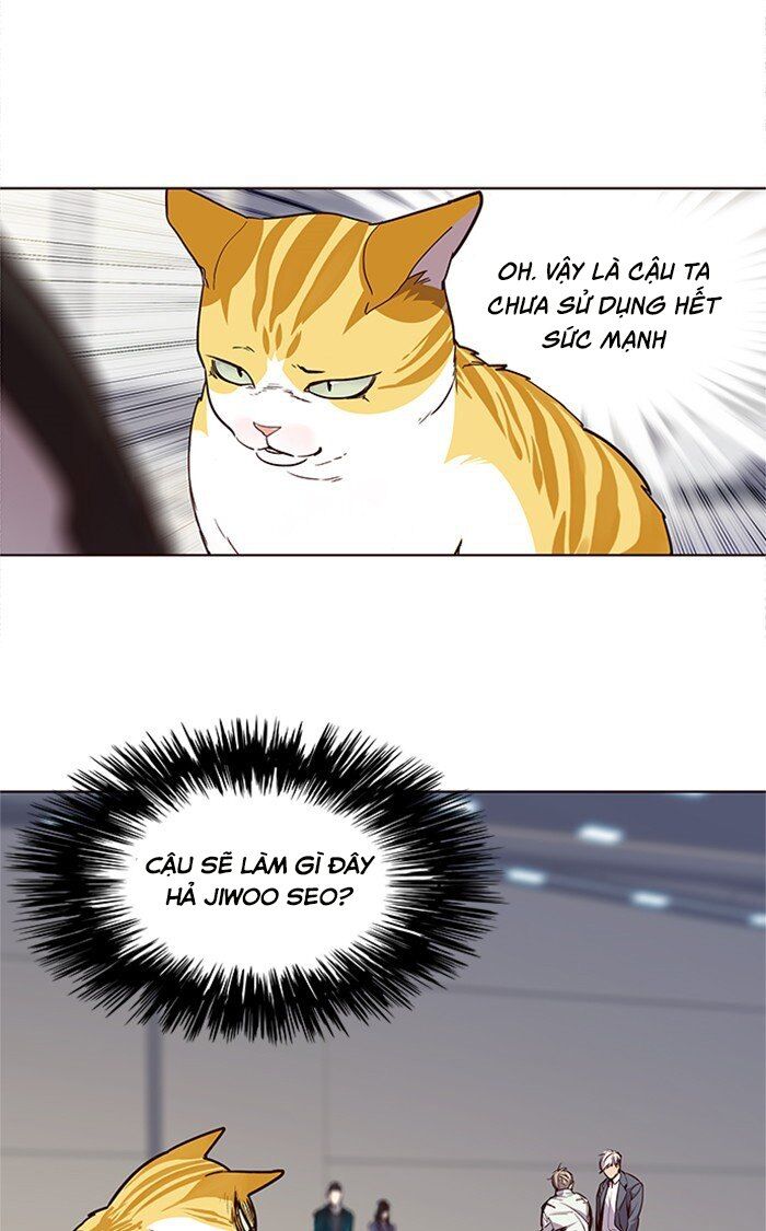Hoá Thân Thành Mèo - Chapter 26 - Page 22
