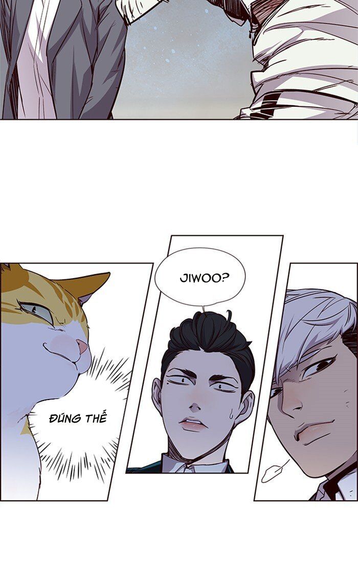 Hoá Thân Thành Mèo - Chapter 26 - Page 25