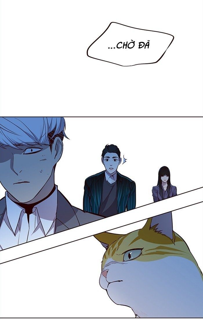 Hoá Thân Thành Mèo - Chapter 26 - Page 75