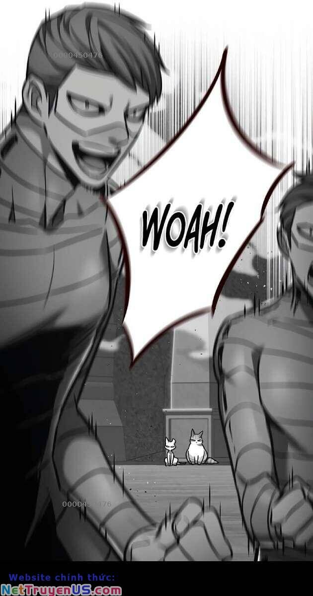 Hoá Thân Thành Mèo - Chapter 261 - Page 4