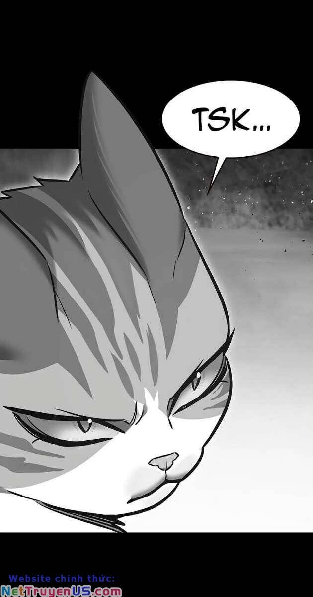 Hoá Thân Thành Mèo - Chapter 261 - Page 5