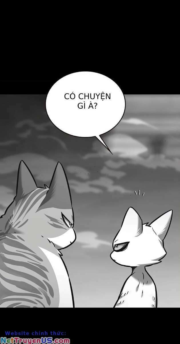 Hoá Thân Thành Mèo - Chapter 261 - Page 6