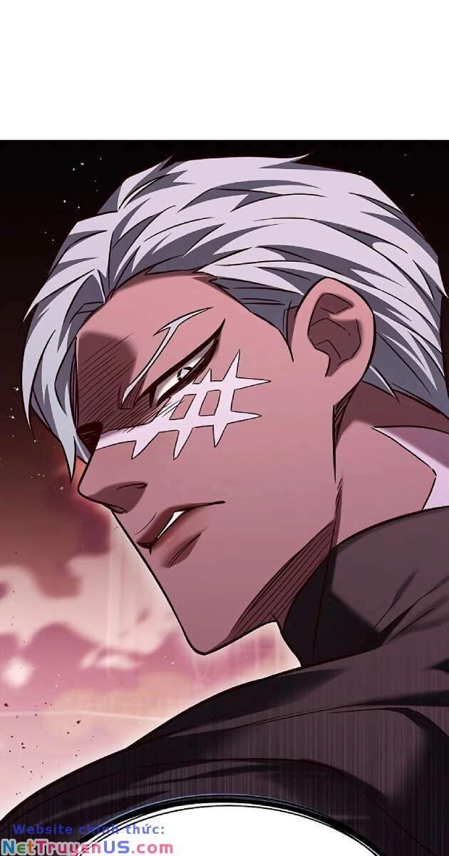 Hoá Thân Thành Mèo - Chapter 262 - Page 12