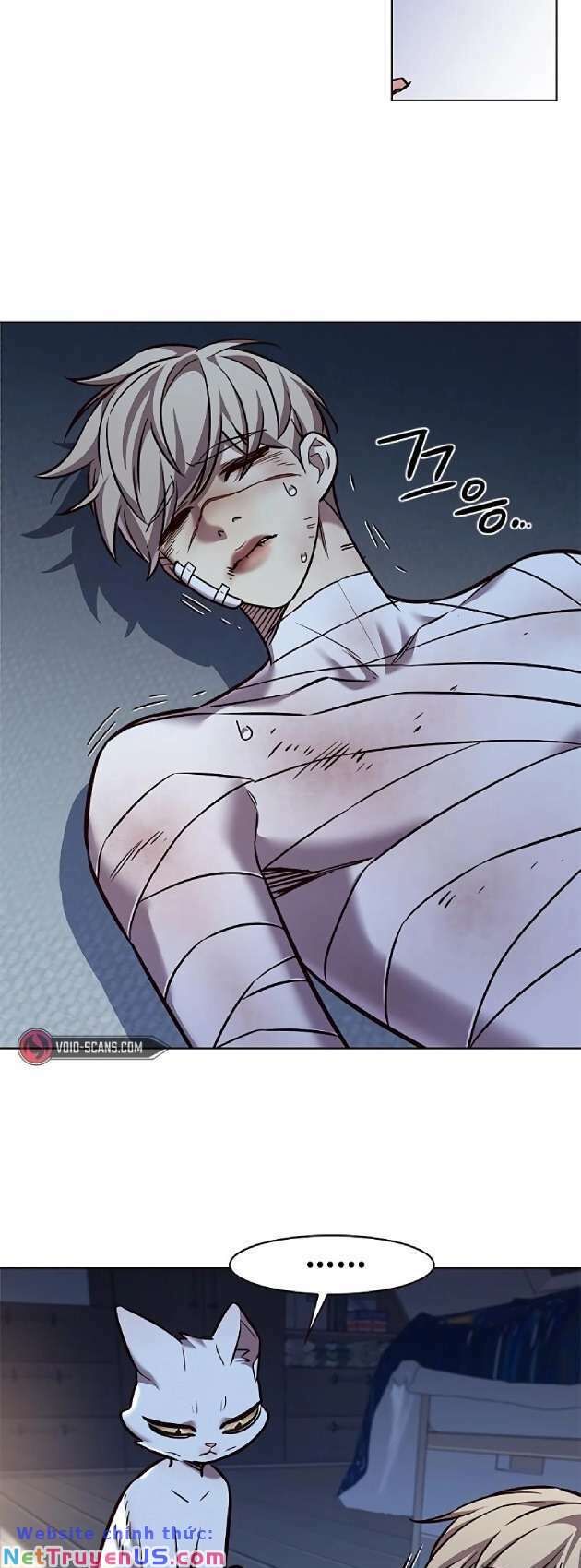 Hoá Thân Thành Mèo - Chapter 262 - Page 53