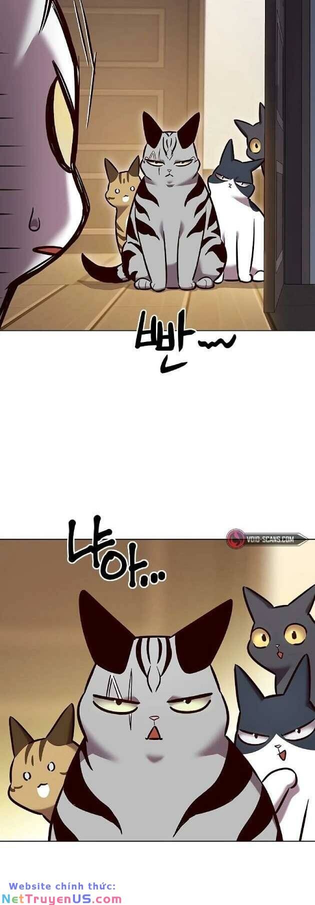 Hoá Thân Thành Mèo - Chapter 262 - Page 58