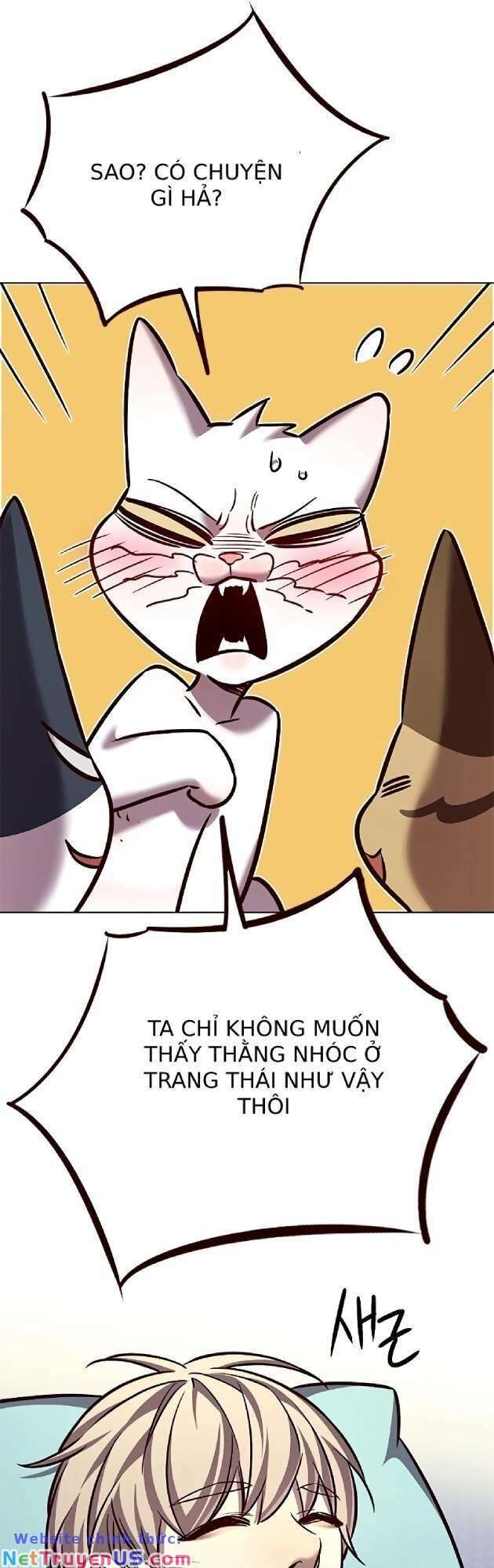 Hoá Thân Thành Mèo - Chapter 262 - Page 59