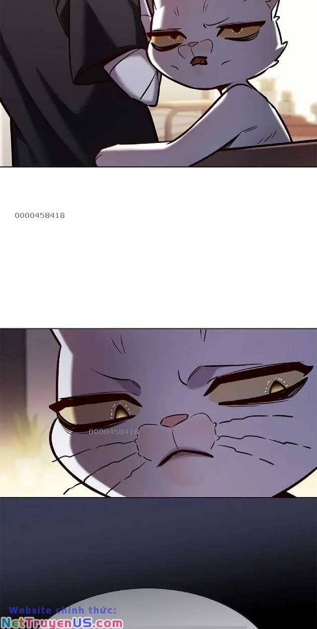 Hoá Thân Thành Mèo - Chapter 263 - Page 14