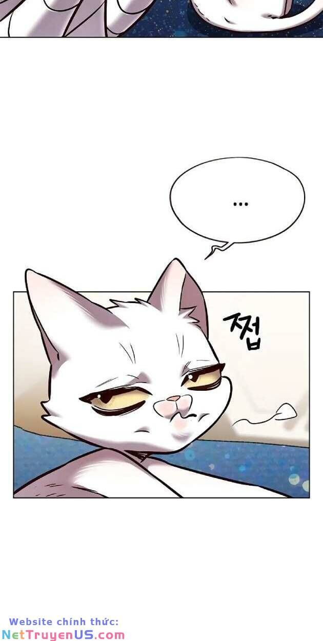 Hoá Thân Thành Mèo - Chapter 263 - Page 5