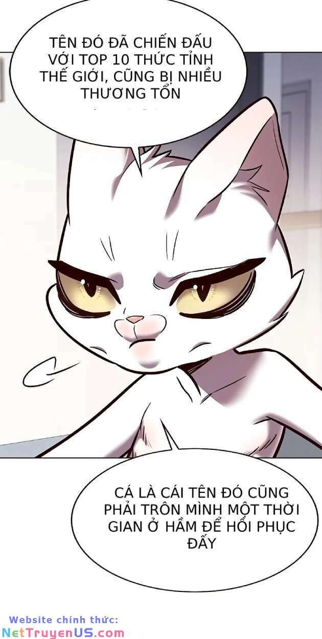 Hoá Thân Thành Mèo - Chapter 263 - Page 8