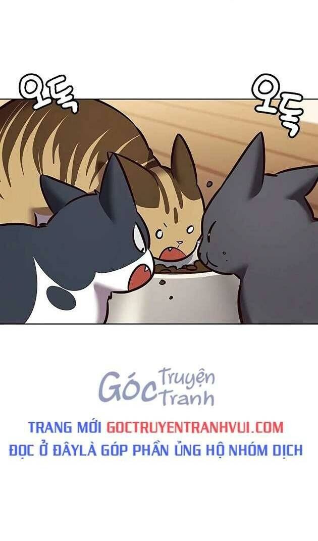 Hoá Thân Thành Mèo - Chapter 269 - Page 40