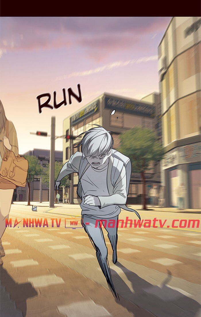 Hoá Thân Thành Mèo - Chapter 27 - Page 19