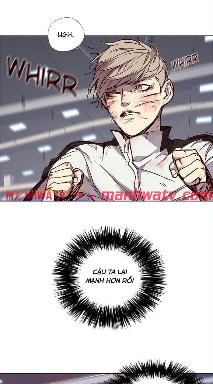 Hoá Thân Thành Mèo - Chapter 27 - Page 33