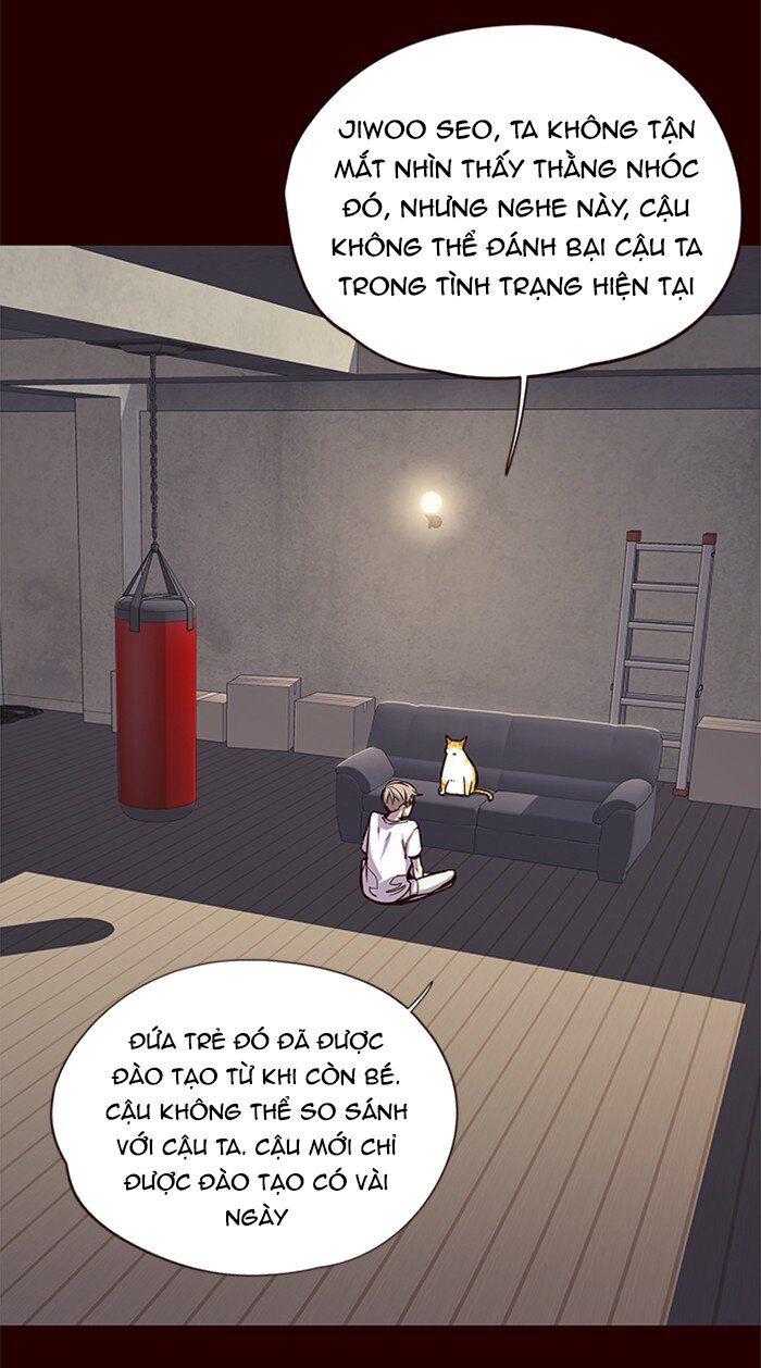 Hoá Thân Thành Mèo - Chapter 27 - Page 38