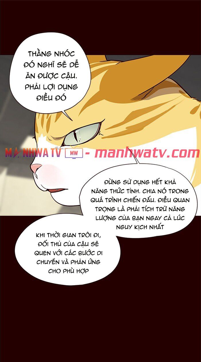 Hoá Thân Thành Mèo - Chapter 27 - Page 41