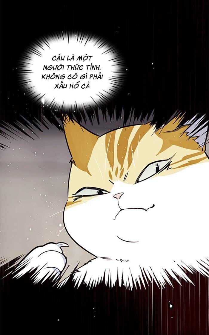 Hoá Thân Thành Mèo - Chapter 27 - Page 53