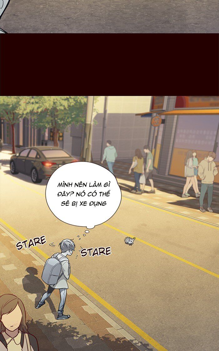 Hoá Thân Thành Mèo - Chapter 27 - Page 7